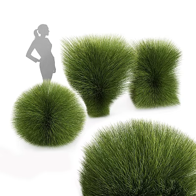 Garden Decorative Accents Featuring Green Round And Conical Grass Like Plants 3d model