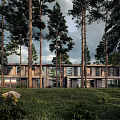 Modern Detached Villa Surrounded by Tall Pine Trees And Lush Green Grassland