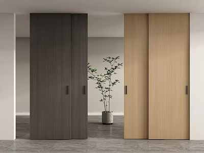 Dark And Light Wooden Texture Sliding Doors In Modern Interior With Potted Plant 3d model