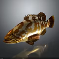 Grouper Fish with Orange and White Stripes on Dark Background with Reflective Surface 3d model
