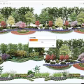 Various Arbor Species In Landscape Design With Colorful Flowers And Green Shrubs
