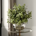 Green Eucalyptus Foliage In Transparent Glass Vase On Round Glass Table With Natural Light