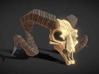 Ram Skull With Curved Textured Horns And Detailed Bone Structure In Shadow 3d model