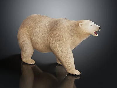 Detailed Polar Bear With Cream Colored Fur Standing With Open Mouth On Reflective Surface 3d model