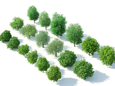 Various Green Trees With Lush Foliage And Diverse Shapes On White Background 3d model
