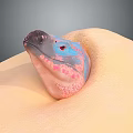 Gray And Pink Spotted Reptile Head With Blue Eyes Emerging From Yellow Sandy Surface