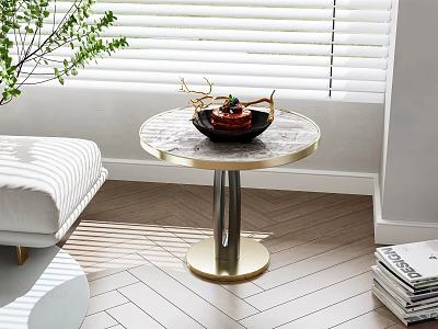 Round Marble Top Side Table with Gold Base Living Room Sunlight Green Plant and Sofa 3d model