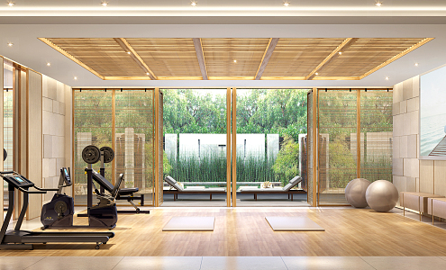 Modern Gym Villa Gym 3d model