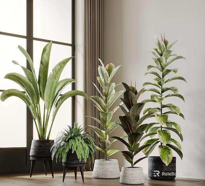 Indoor Potted Bonsai Plants With Various Green Leaves And Stylish Pots 3d model 