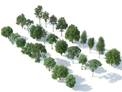 Collection of Various Green Arbor Trees with Natural Shades and Different Sizes 3d model
