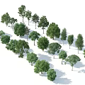 Collection of Various Green Arbor Trees with Natural Shades and Different Sizes