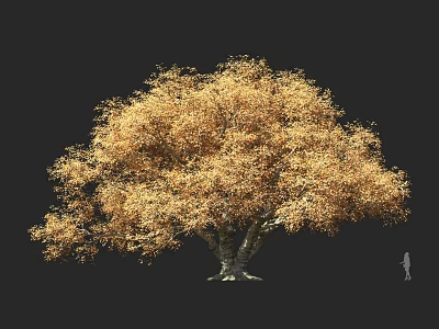 Large Solitary Tree With Golden Foliage Standing Against Dark Background And Small Human Figure For Scale 3d model