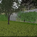 Garden Landscape With Lush Green Grass Tall Trees Stone Wall And Bushes
