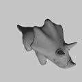 Cute White Purple Triceratops 3D Model Game Animated Character Design