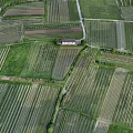 Aerial View of Rural Agricultural Landscape With Neat Farm Fields Crop Rows and Small Building