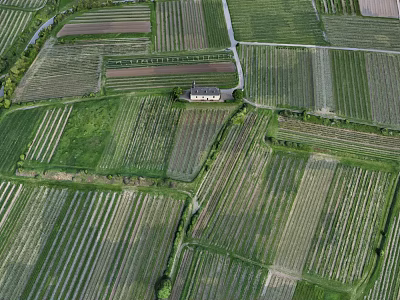 Aerial View of Rural Agricultural Landscape With Neat Farm Fields Crop Rows and Small Building 3d model