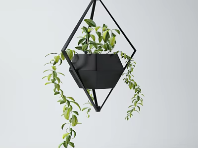 Black Geometric Metal Hanging Planter With Trailing Green Leaves For Indoor Decor 3d model