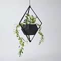 Black Geometric Metal Hanging Planter With Trailing Green Leaves For Indoor Decor