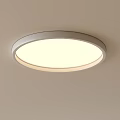 Round Modern Ceiling Light with White Illumination and Sleek Silver Frame