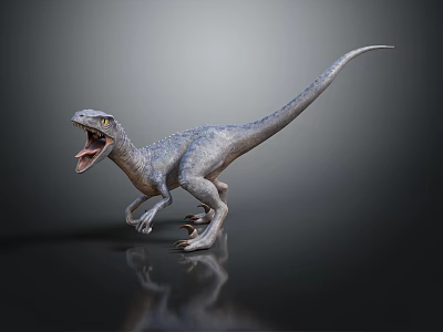 3D Rendered Gray Dinosaur With Open Mouth Sharp Teeth Standing On Dark Background With Reflection 3d model
