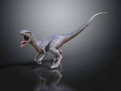 3D Rendered Gray Dinosaur With Open Mouth Sharp Teeth Standing On Dark Background With Reflection 3d model