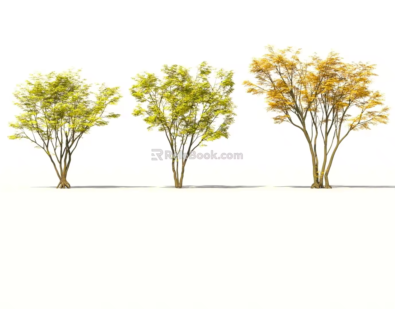 Cluster Red Maple Tree Sycamore Tree Acer maple Autumn Maple Leaf Garden Landscape Tree Street Tree Chinese Style National Style Ancient Tree 3d model