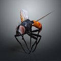 Modern fly insect cartoon fly fly animation fly 3d model