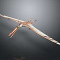 Flying Pterosaur With Long Orange Beak And White Striped Wings In Flight