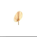 Natural Palm Leaf Fans With Wooden Handle For Daily Life Decorative Use