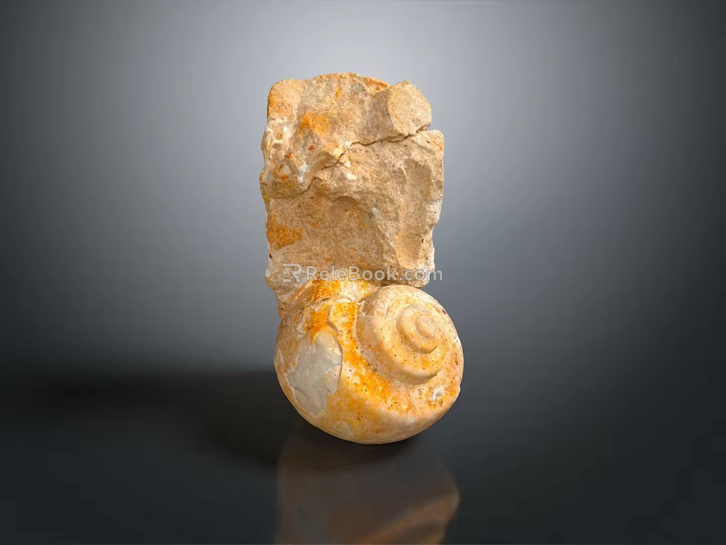 Chi chrysanthemum stone ancient fossil stone chrysanthemum fossil items 3d model