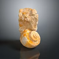 Chi chrysanthemum stone ancient fossil stone chrysanthemum fossil items 3d model
