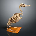 Modern Skeleton Moonbird Skeleton Cormorant Skeleton 3d model