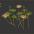 3D Rendered Pink Lotus Flowers With Green Leaves And Stems