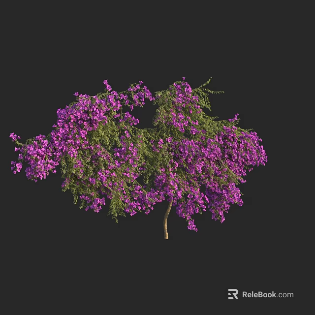 Vibrant Purple Flowering Tree with Lush Green Foliage Against Black Background 3d model 