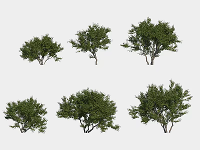 Diverse Green Leafy Shrubs With Various Shapes For Garden Landscaping 3d model