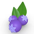 Healthy Fresh Purple Berries With Three Plump Fruits And Green Leaves