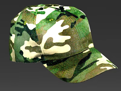Camouflage hat 3d model