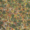 Natural Garden Decor With Colorful Autumn Leaves And Green Grass Ground Cover