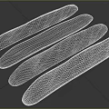 Fresh Traditional Baguettes With Crusty Golden Exterior And Airy Interior