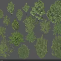Diverse Arbor Tree Collection Featuring Various Green Foliage And Different Sizes 3d model