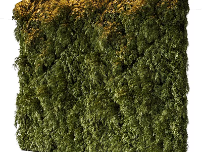 Green Plant Wall Vertical Garden with Lush Foliage for Indoor Natural Decor 3d model