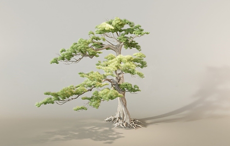 New Landscape Tree Welcome Pine Garden Tree Arbor 3d model