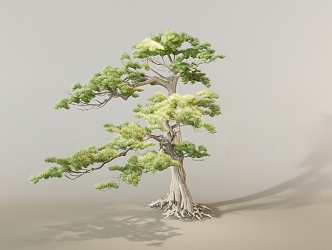 New Landscape Tree Welcome Pine Garden Tree Arbor 3d model