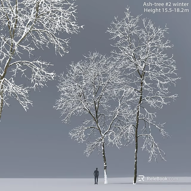 Elegant Decorative Ornament Set with Snow Covered Branches and Winter Design 3d model 