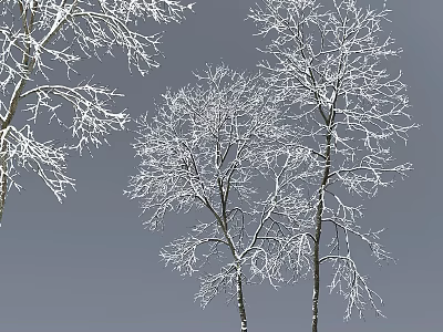 Elegant Decorative Ornament Set with Snow Covered Branches and Winter Design 3d model