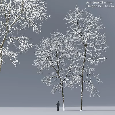 Elegant Decorative Ornament Set with Snow Covered Branches and Winter Design 3d model