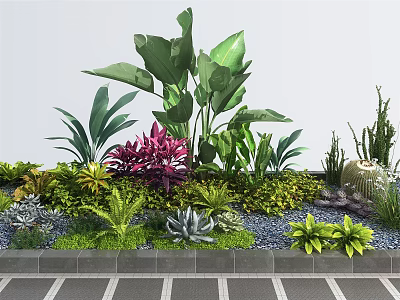 Diverse Garden Plants With Large Green Leaves Purple Foliage Succulents Grass And Gravel 3d model