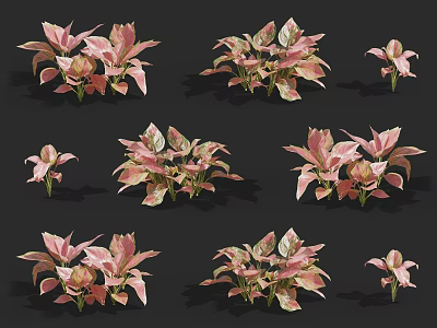 Pink and Green Leafy Plants in Various Decorative Arrangements on Black Background 3d model