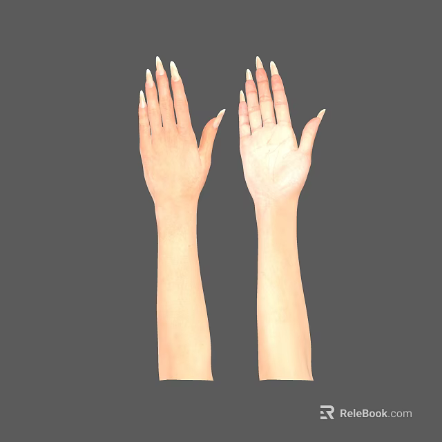 Natural Skin Tone Hands And Arms With Neatly Trimmed Nails On Gray Background 3d model 