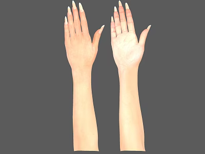 Natural Skin Tone Hands And Arms With Neatly Trimmed Nails On Gray Background 3d model